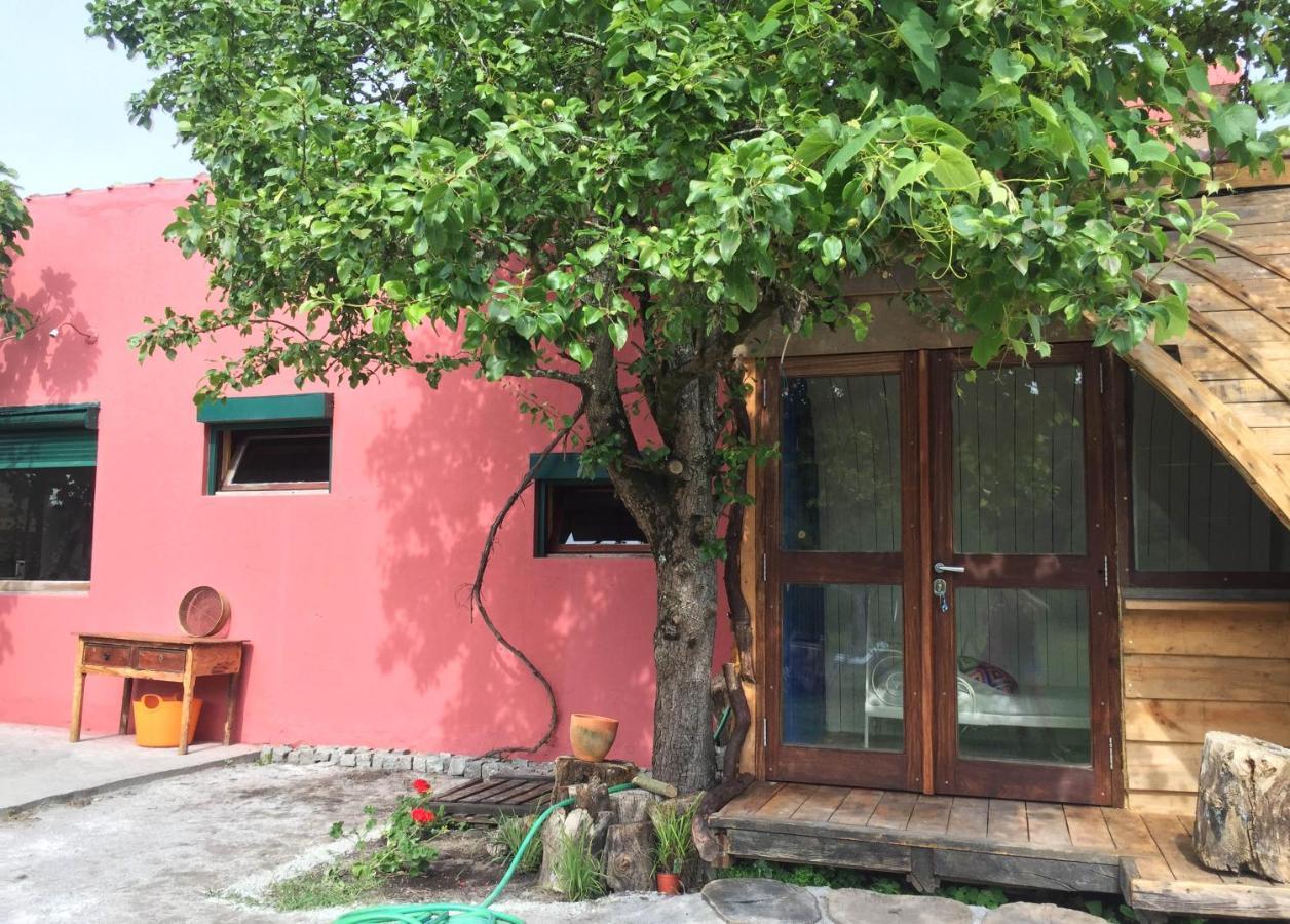 Maceda Surf Camp Villa Kültér fotó